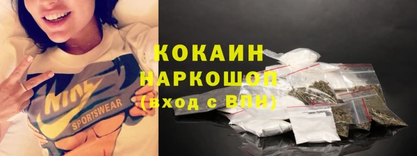 крисы Богородицк