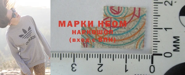 крисы Богородицк