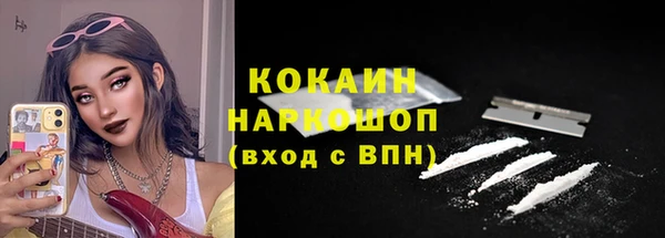 крисы Богородицк