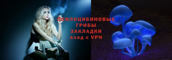 крисы Богородицк