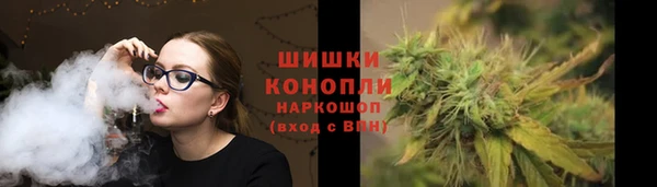 метадон Богданович