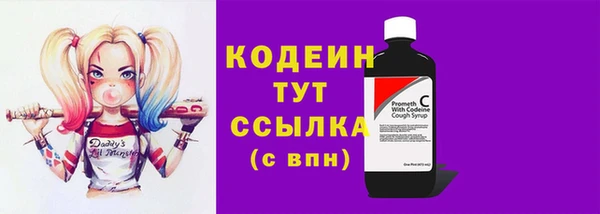 метадон Богданович