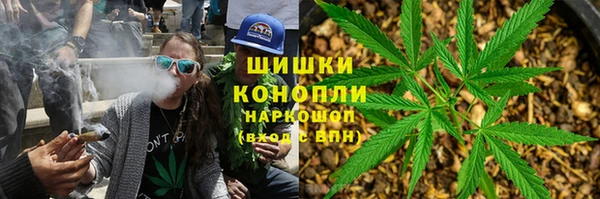 прущие грибы Белокуриха
