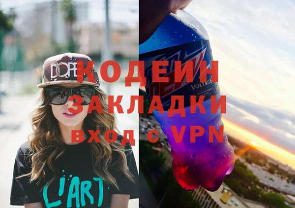 крисы Богородицк